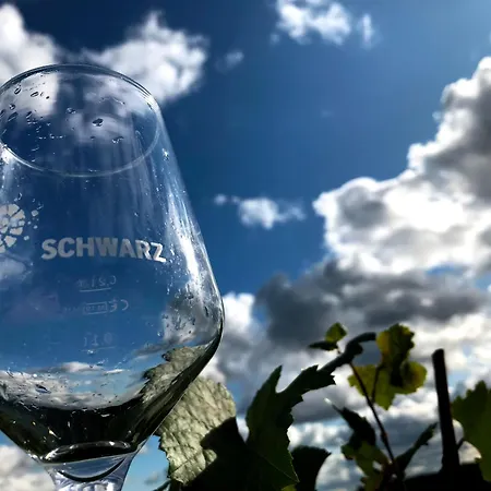 Διαμέρισμα Weingut Martin Schwarz Meißen