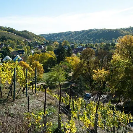 Weingut Martin Schwarz Διαμέρισμα *