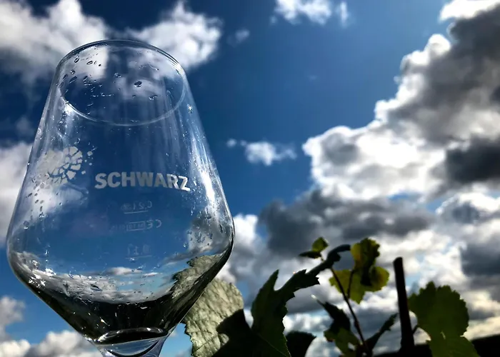 Apartment Weingut Martin Schwarz Meissen