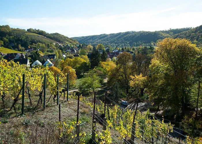 Weingut Martin Schwarz Apartment *